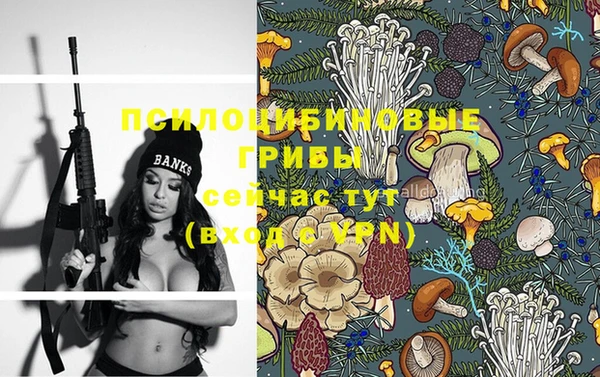 apvp Яровое