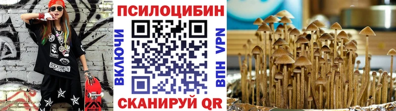 Галлюциногенные грибы Cubensis  Пестово 